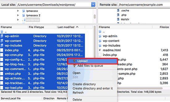 How to Update WordPress Safely? Easy Guide Upload WordPress Files Manually