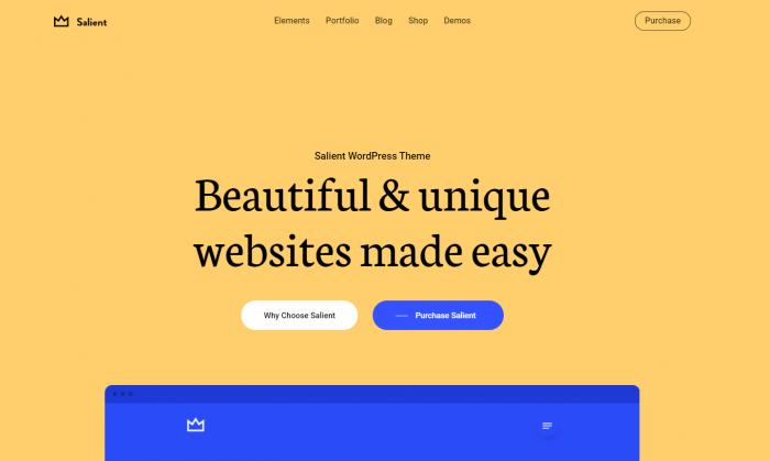 Salient WordPress Theme Image